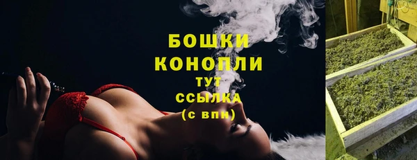 бошки Рославль