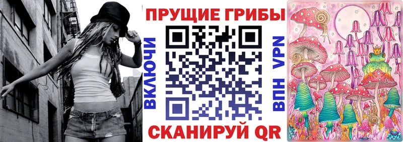 Галлюциногенные грибы Magic Shrooms  где купить наркотик  гидра вход  Курск 
